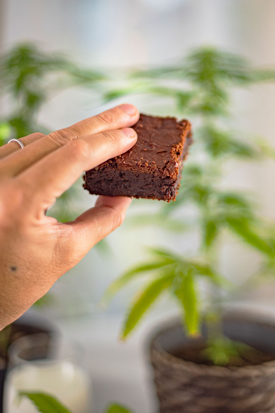 Cannabis Brownie